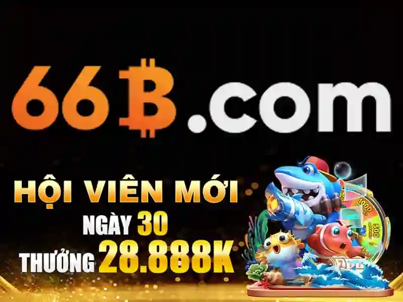 liên hệ 66b – Câu chuyện thương hiệu và trải nghiệm người dùng