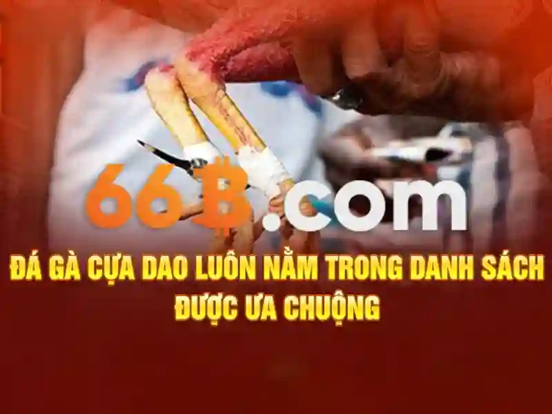 Nguồn gốc từ khóa và sứ mệnh