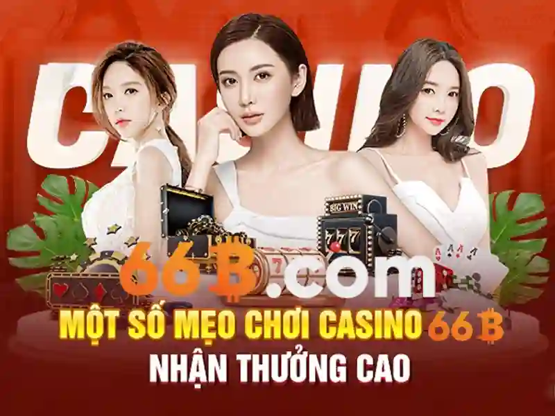 Tổng quan 66b nss