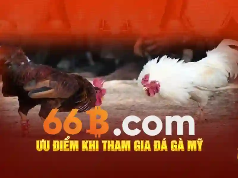 lô đề 66b – Nguồn gốc và sứ mệnh