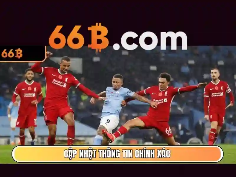 hỗ trợ 66b – Trải nghiệm đột phá và câu chuyện thương hiệu