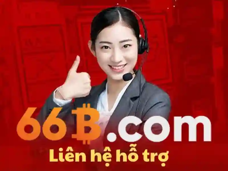 Sân cầu 66b triều khúc: hành trình đổi mới và trải nghiệm