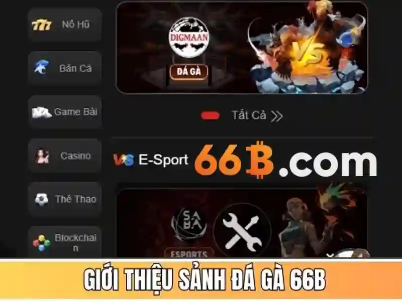 Ca cuoc Esports va bong ro soi dong tai nha cai 66b
