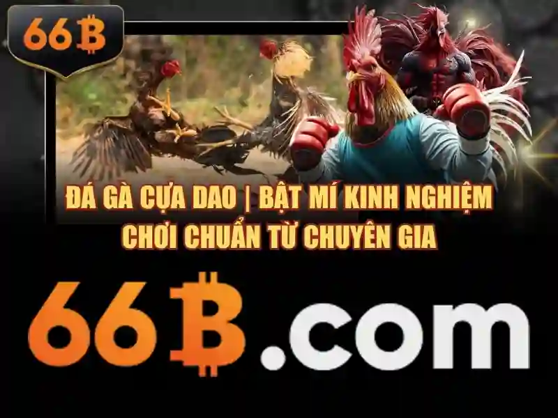 66b com – Khởi nguồn và hành trình thương hiệu đột phá