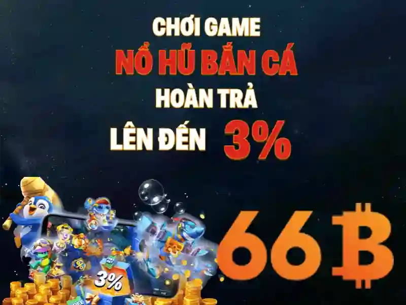 Trải nghiệm người dùng và phản hồi từ cộng đồng