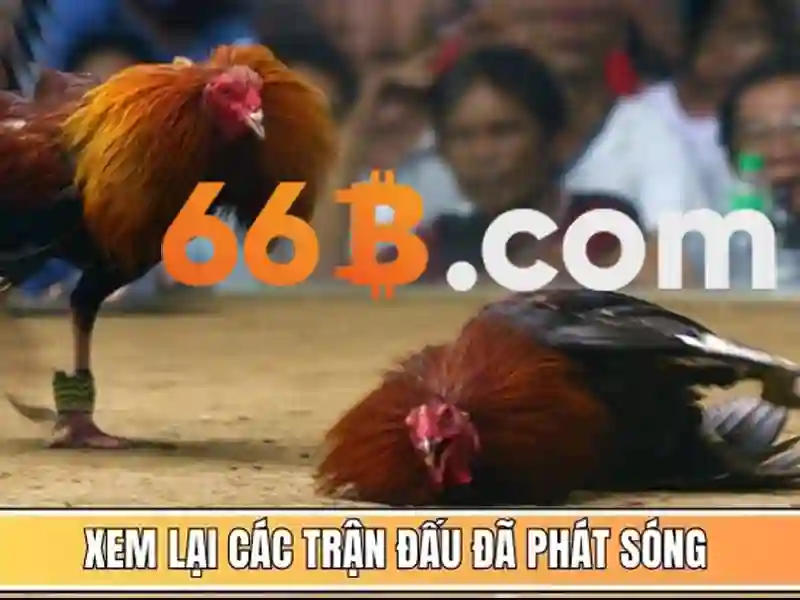 Sản phẩm và dịch vụ cốt lõi