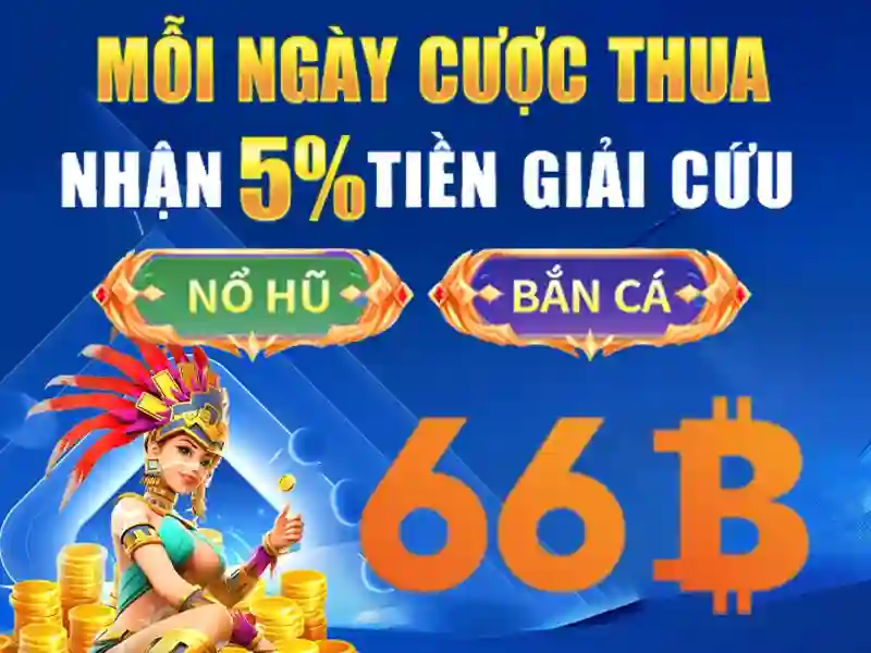 Trải nghiệm người dùng và phản hồi của cộng đồng