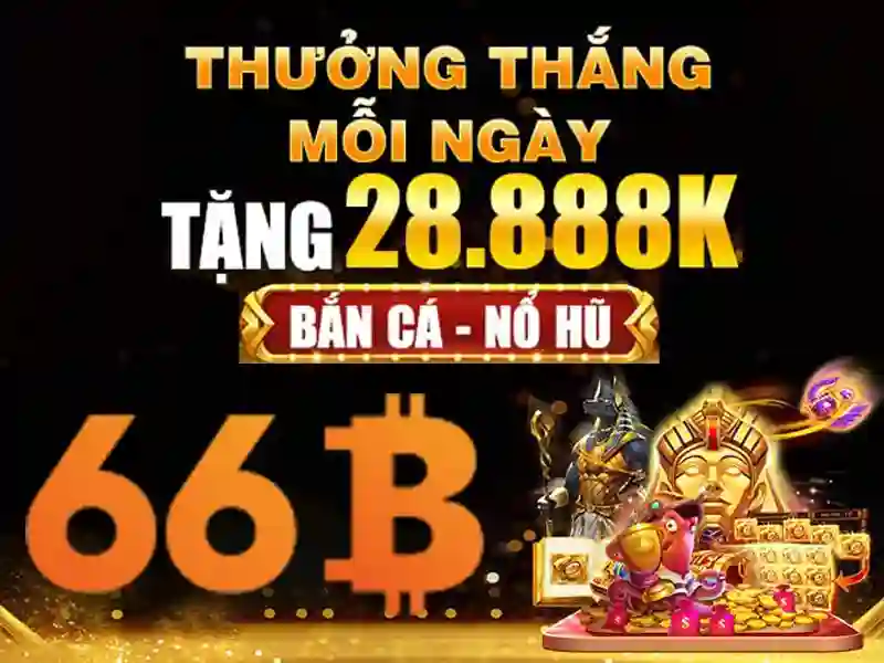 Cac su kien khuyen mai hang ngay tai 66b