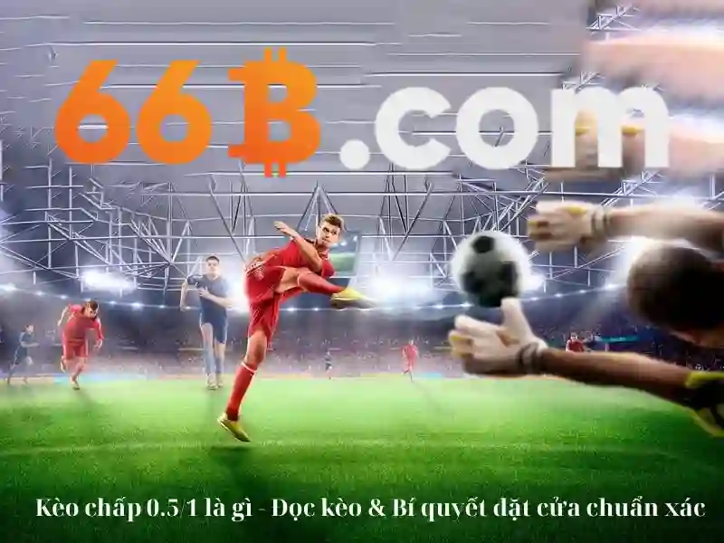 66b có giấy phép không – Giới thiệu và định vị thương hiệu