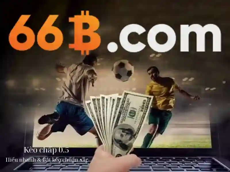 liên hệ 66b – Câu chuyện thương hiệu và trải nghiệm người dùng